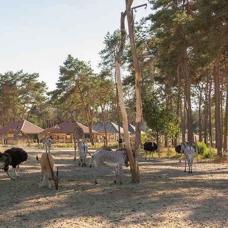 Safari Resort Beekse Bergen Hilvarenbeek Exteriör bild