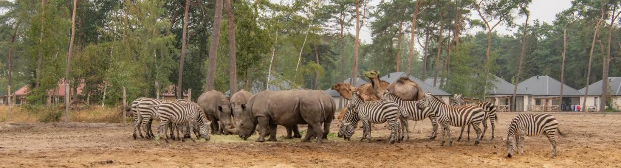 Safari Resort Beekse Bergen Hilvarenbeek Exteriör bild
