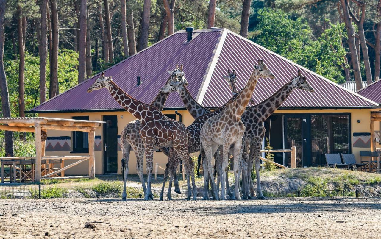 Safari Resort Beekse Bergen Hilvarenbeek Exteriör bild