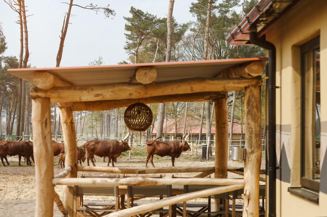 Safari Resort Beekse Bergen Hilvarenbeek Exteriör bild