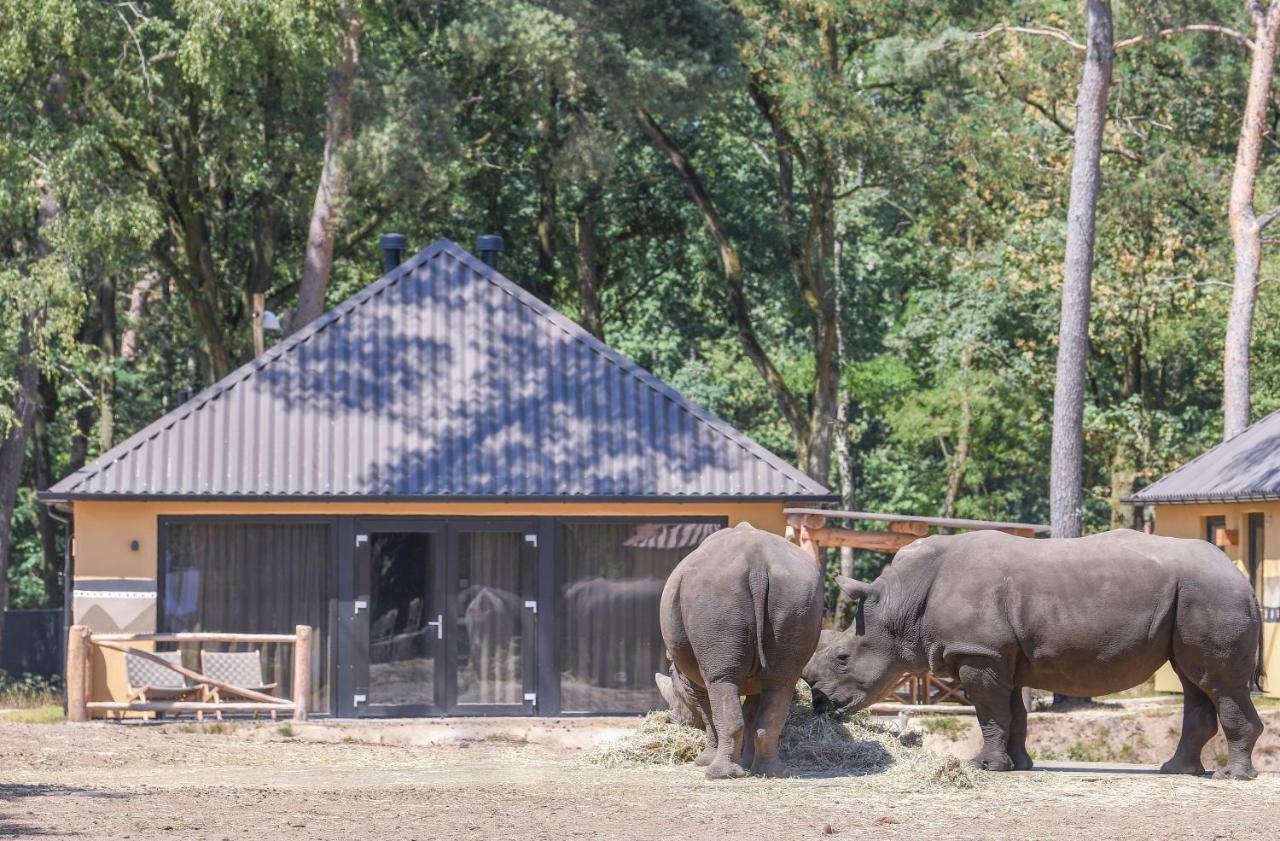 Safari Resort Beekse Bergen Hilvarenbeek Exteriör bild