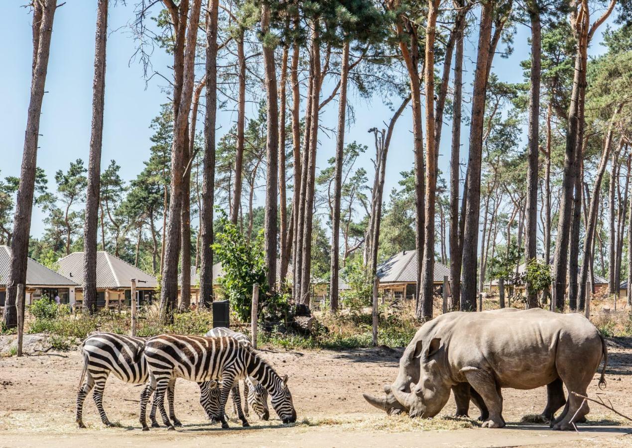 Safari Resort Beekse Bergen Hilvarenbeek Exteriör bild