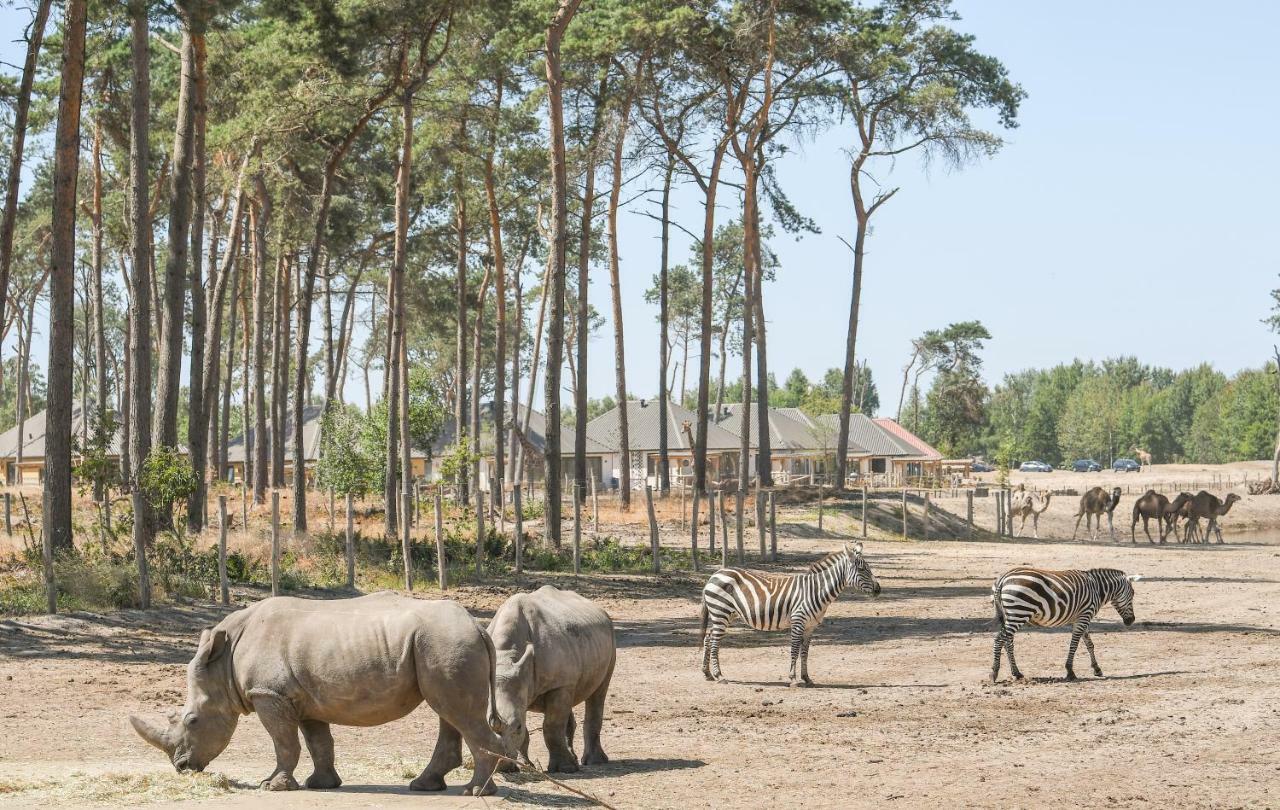 Safari Resort Beekse Bergen Hilvarenbeek Exteriör bild